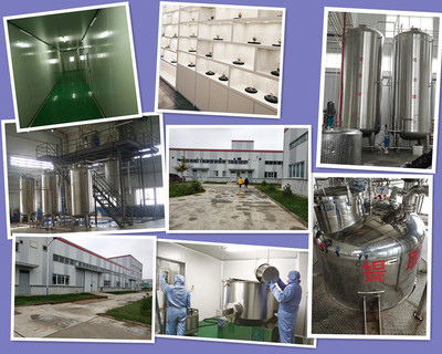 刺梨粉檢測(cè)服務(wù) 保障品質(zhì)與安全的專(zhuān)業(yè)護(hù)航