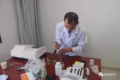 榆陽(yáng)開(kāi)展暑期餐飲服務(wù)專(zhuān)項(xiàng)檢測(cè)，筑牢食品安全防線