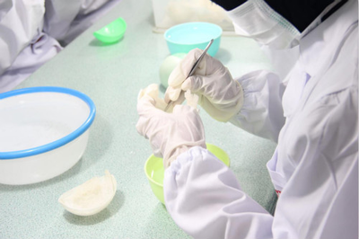 燕窩選購(gòu)全指南 從入門(mén)到精通，找到適合你的那一盞